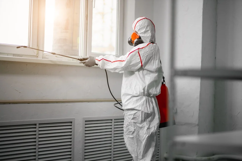 Professional mold remediation services in Holliston, MA